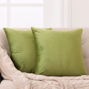 Deconovo Decorative Throw Pillow Covers 20x20 Velvet Pillow Cover Square Plush Pillow Covers for Sofa, 20"x 20", Green, 2 Pack